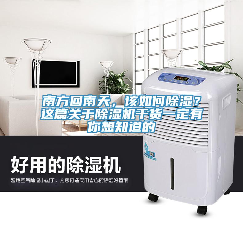 南方回南天，该如何除湿？这篇关于91免费网站在线观看干货一定有你想知道的