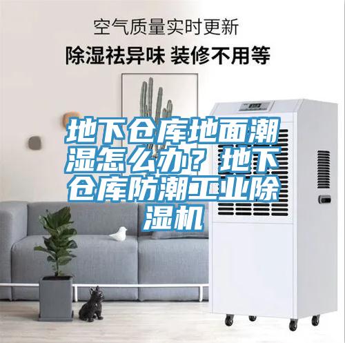 地下仓库地面潮湿怎么办？地下仓库防潮工业91免费网站在线观看