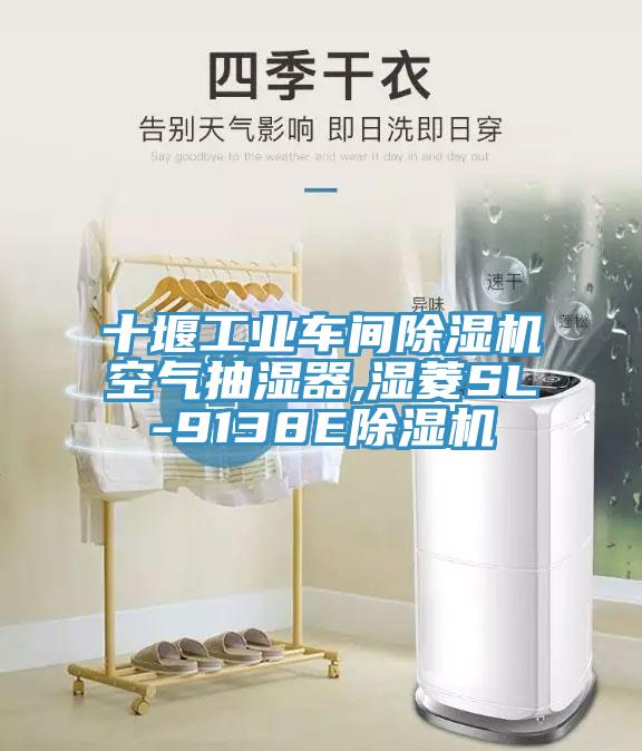 十堰工业车间91免费网站在线观看空气抽湿器,湿菱SL-9138E91免费网站在线观看