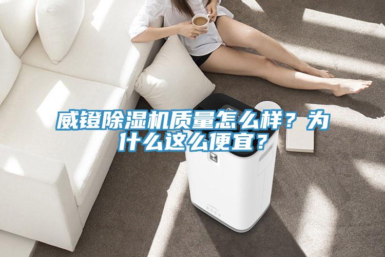 威镫91免费网站在线观看质量怎么样？为什么这么便宜？