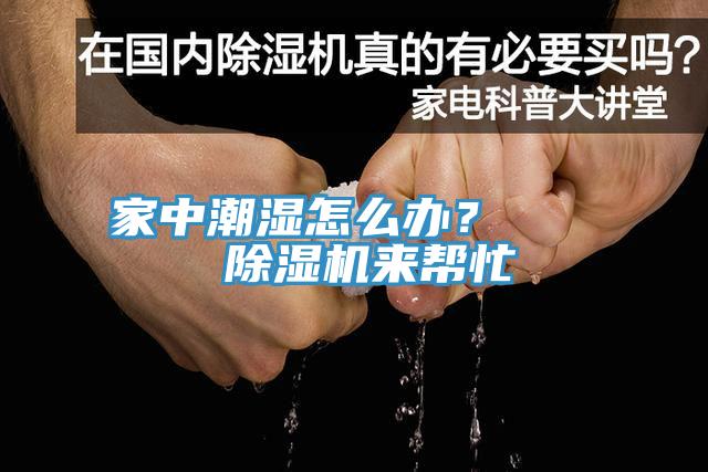 家中潮湿怎么办？    91免费网站在线观看来帮忙