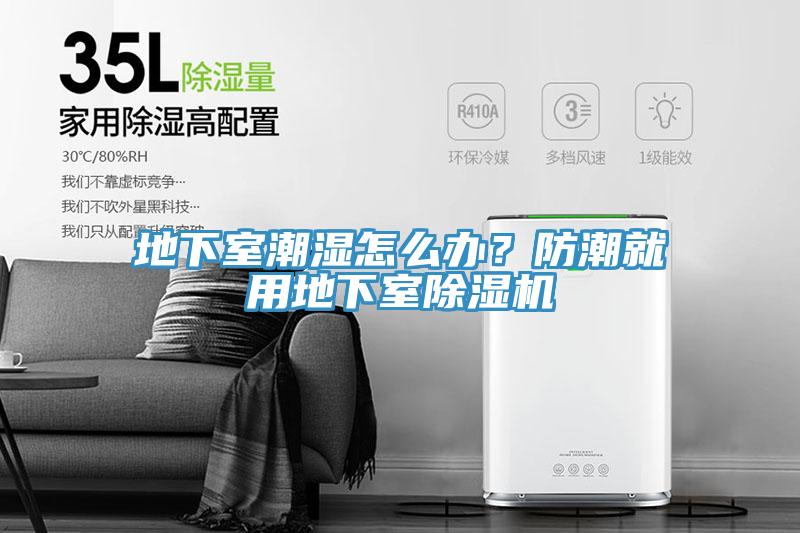 地下室潮湿怎么办？防潮就用地下室91免费网站在线观看