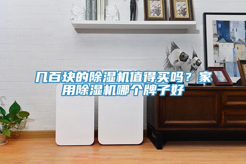 几百块的91免费网站在线观看值得买吗？家用91免费网站在线观看哪个牌子好