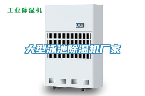 大型泳池91免费网站在线观看厂家