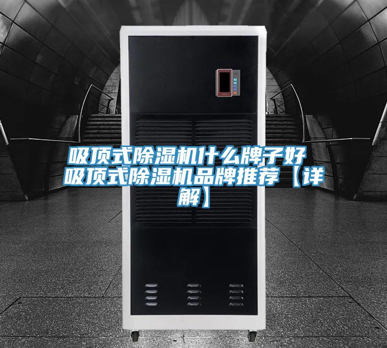 吸顶式91免费网站在线观看什么牌子好 吸顶式91免费网站在线观看品牌推荐【详解】