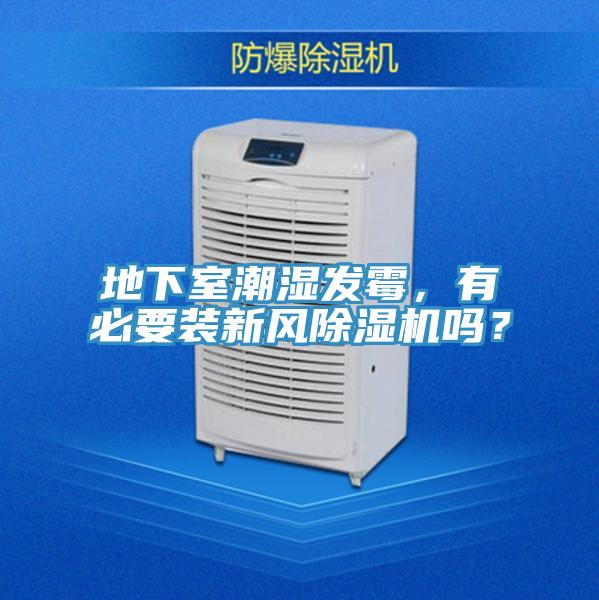 地下室潮湿发霉，有必要装新风91免费网站在线观看吗？