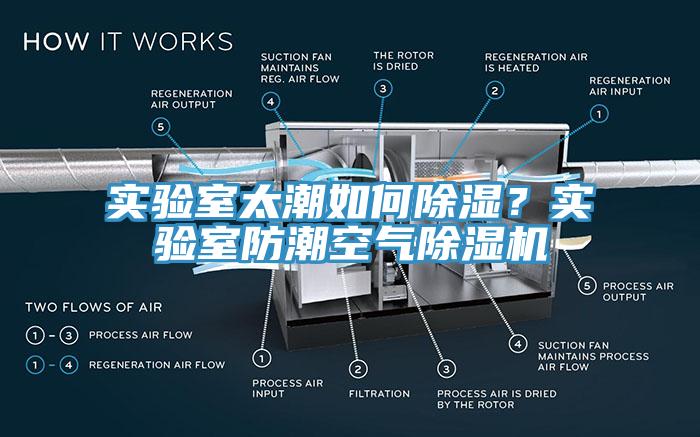 实验室太潮如何除湿？实验室防潮空气91免费网站在线观看
