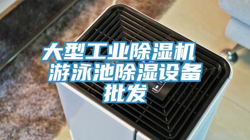 大型工业91免费网站在线观看 游泳池除湿设备批发