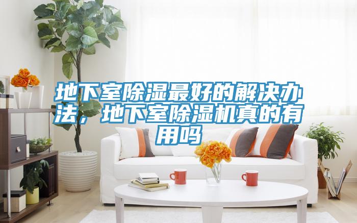地下室除湿最好的解决办法，地下室91免费网站在线观看真的有用吗