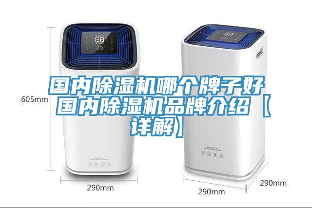 国内91免费网站在线观看哪个牌子好 国内91免费网站在线观看品牌介绍【详解】