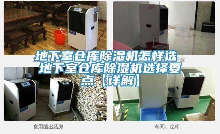 地下室仓库91免费网站在线观看怎样选 地下室仓库91免费网站在线观看选择要点【详解】