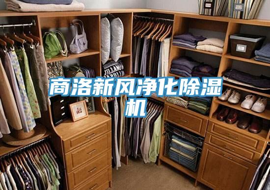 商洛新风净化91免费网站在线观看