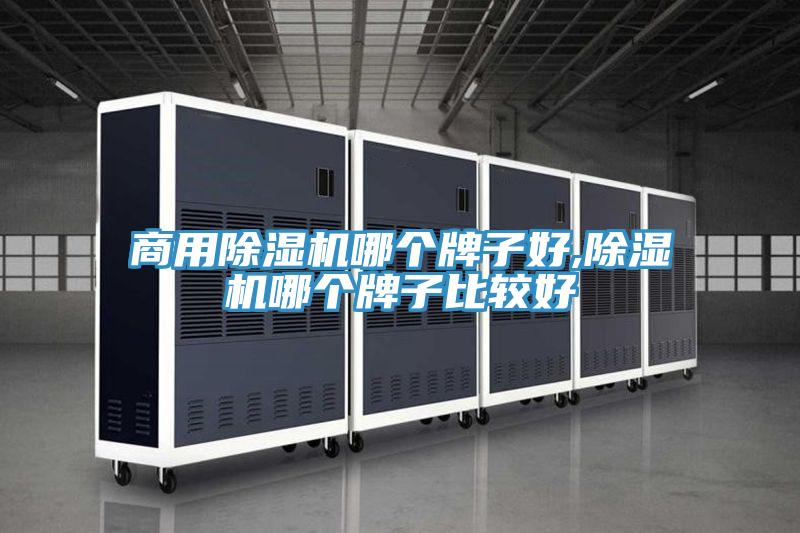 商用91免费网站在线观看哪个牌子好,91免费网站在线观看哪个牌子比较好