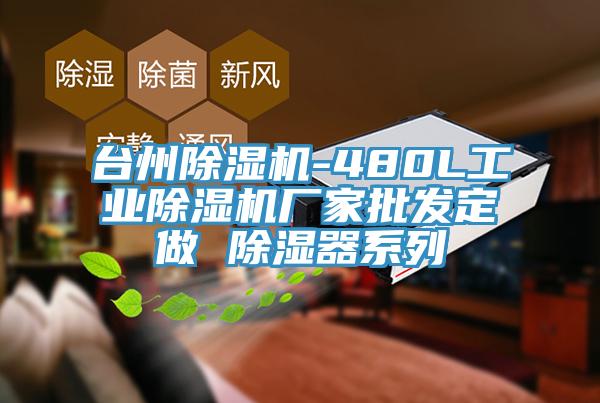 台州91免费网站在线观看-480L工业91免费网站在线观看厂家批发定做 除湿器系列