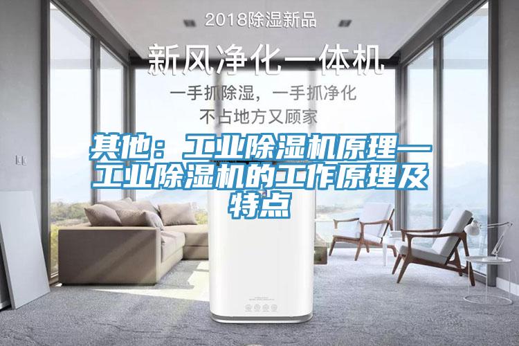 其他：工业91免费网站在线观看原理—工业91免费网站在线观看的工作原理及特点