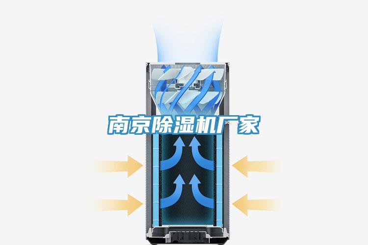 南京91免费网站在线观看厂家