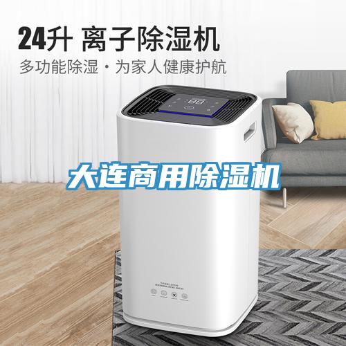 大连商用91免费网站在线观看