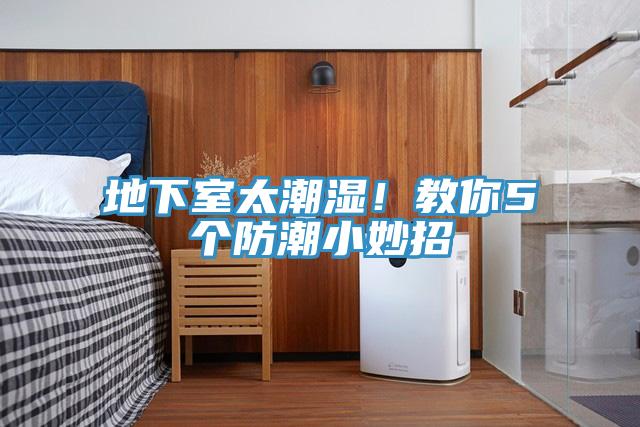 地下室太潮湿！教你5个防潮小妙招