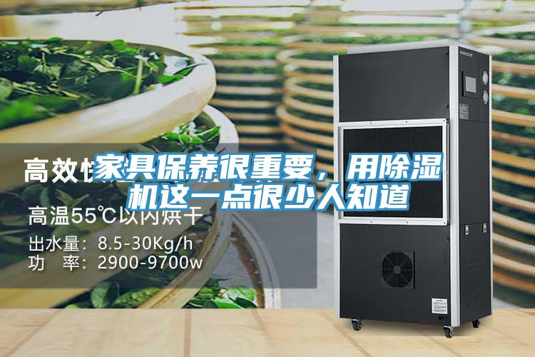 家具保养很重要，用91免费网站在线观看这一点很少人知道
