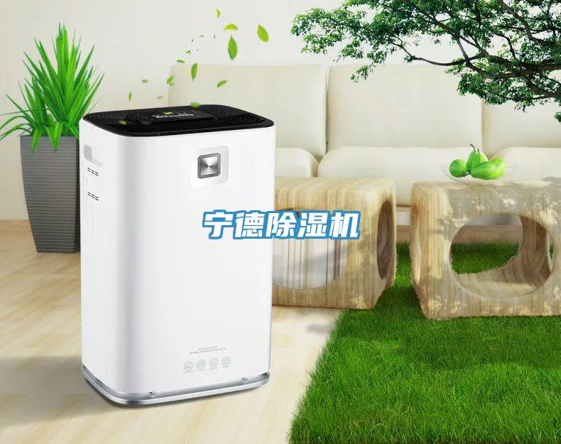 宁德91免费网站在线观看