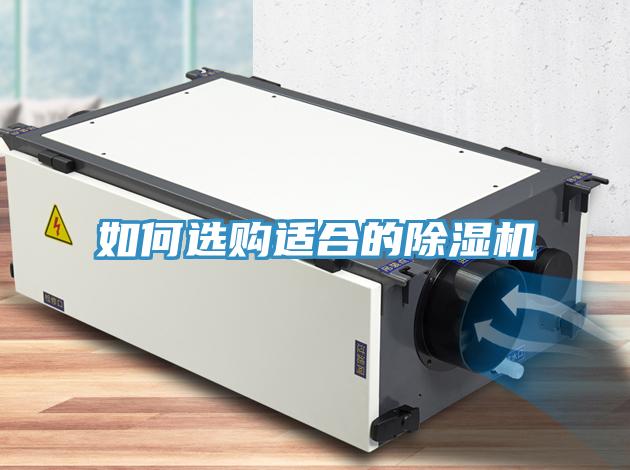 如何选购适合的91免费网站在线观看