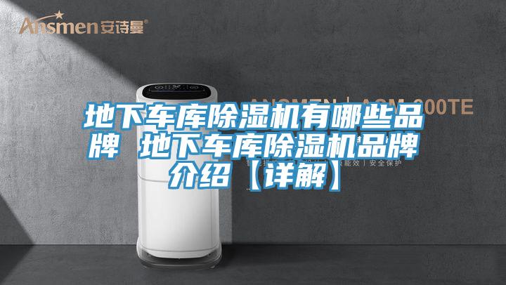 地下车库91免费网站在线观看有哪些品牌 地下车库91免费网站在线观看品牌介绍【详解】
