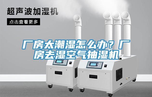 厂房太潮湿怎么办？厂房去湿空气抽湿机