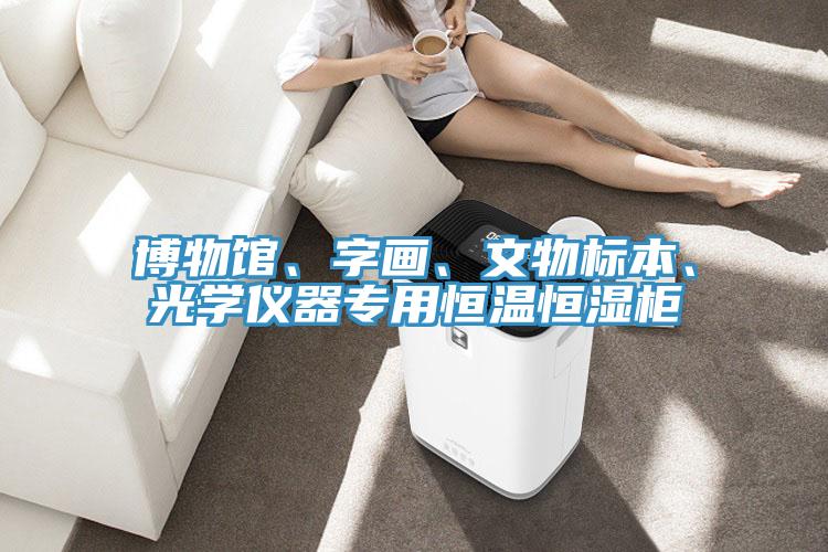博物馆、字画、文物标本、光学仪器专用恒温恒湿柜