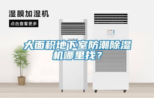 大面积地下室防潮91免费网站在线观看哪里找？