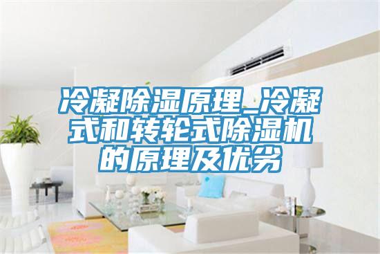 冷凝除湿原理_冷凝式和转轮式91免费网站在线观看的原理及优劣