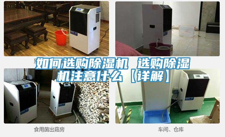 如何选购91免费网站在线观看 选购91免费网站在线观看注意什么【详解】