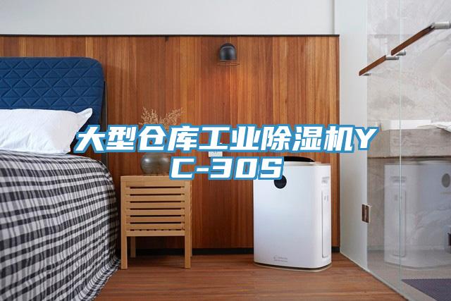 大型仓库工业91免费网站在线观看YC-30S