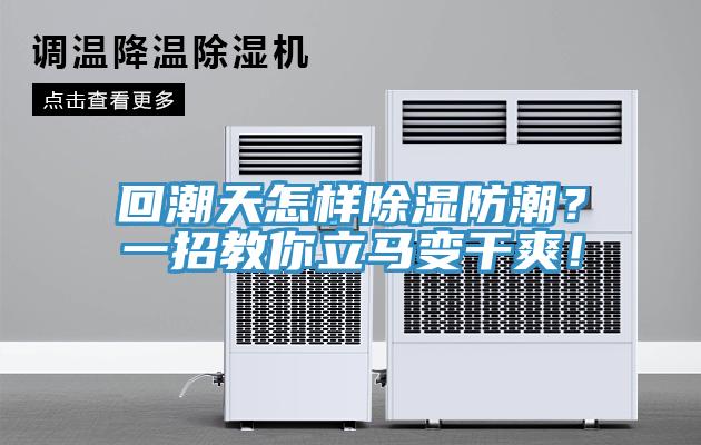 回潮天怎样除湿防潮？一招教你立马变干爽！