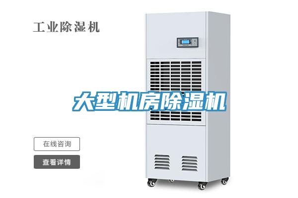 大型机房91免费网站在线观看