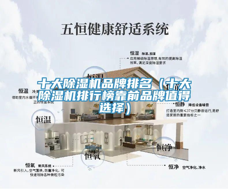 十大91免费网站在线观看品牌排名（十大91免费网站在线观看排行榜靠前品牌值得选择）