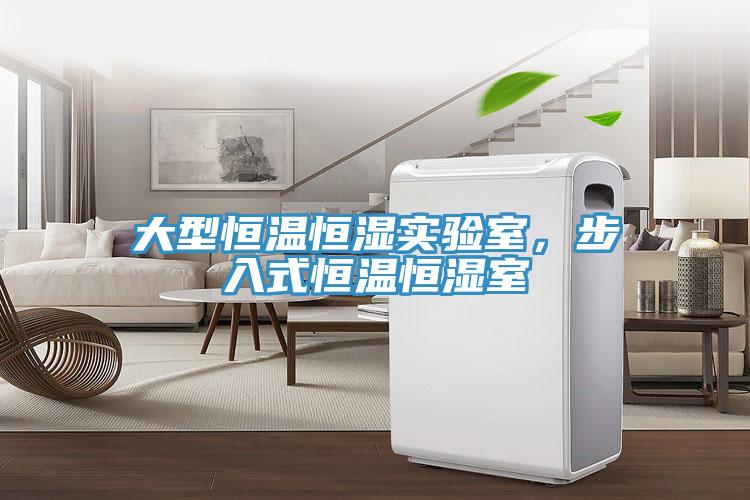 大型恒温恒湿实验室，步入式恒温恒湿室