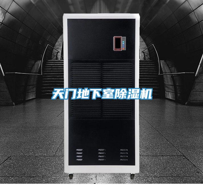 天门地下室91免费网站在线观看