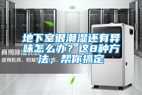 地下室很潮湿还有异味怎么办？这8种方法，帮你搞定