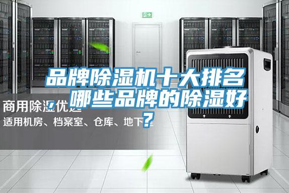 品牌91免费网站在线观看十大排名，哪些品牌的除湿好？