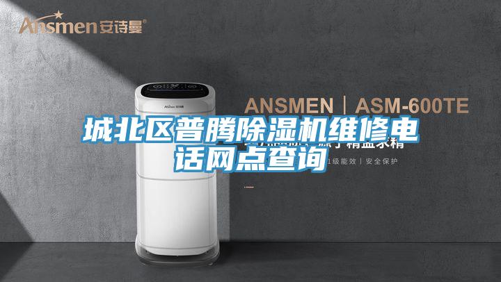 城北区普腾91免费网站在线观看维修电话网点查询