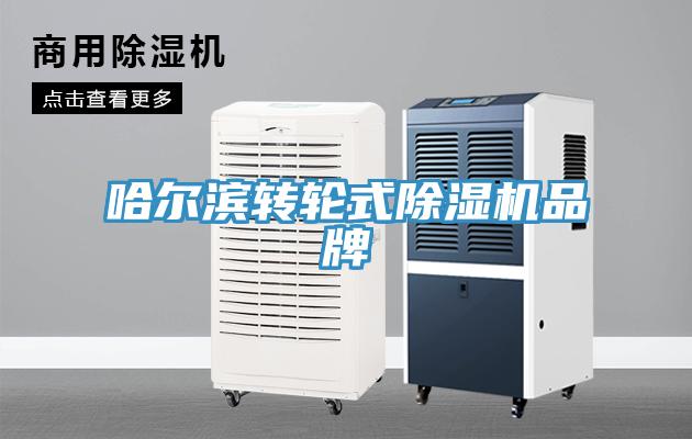 哈尔滨转轮式91免费网站在线观看品牌