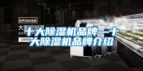 十大91免费网站在线观看品牌—十大91免费网站在线观看品牌介绍