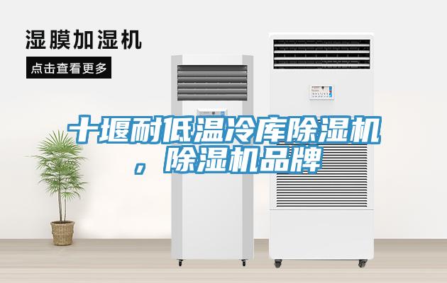 十堰耐低温冷库91免费网站在线观看，91免费网站在线观看品牌