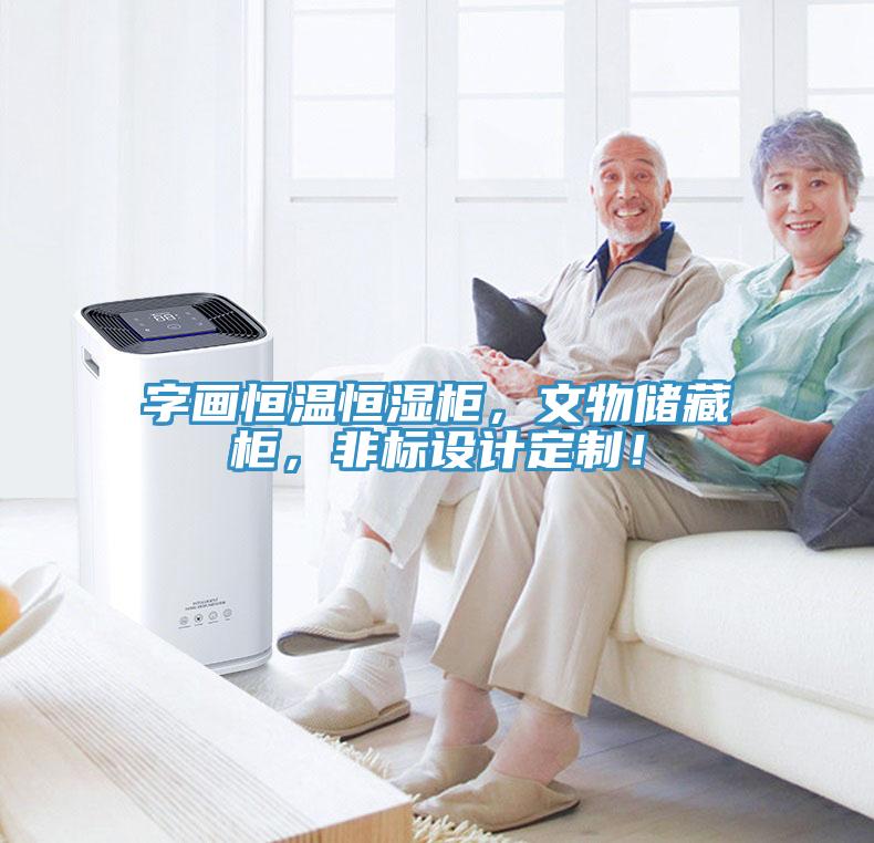 字画恒温恒湿柜，文物储藏柜，非标设计定制！