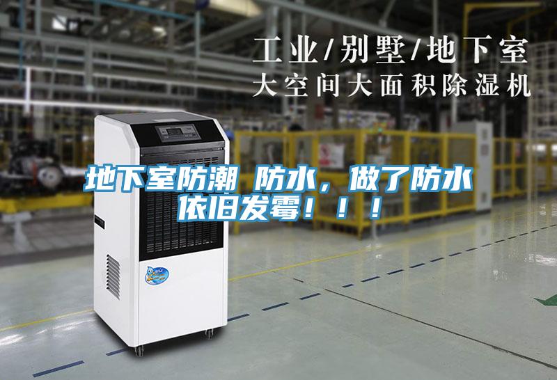 地下室防潮≠防水，做了防水依旧发霉！！！