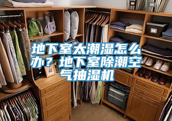 地下室太潮湿怎么办？地下室除潮空气抽湿机