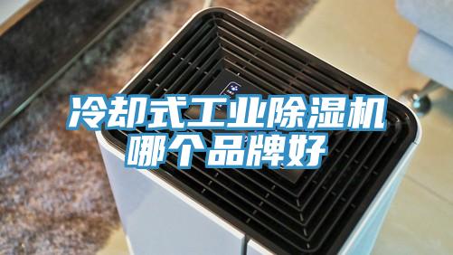 冷却式工业91免费网站在线观看哪个品牌好