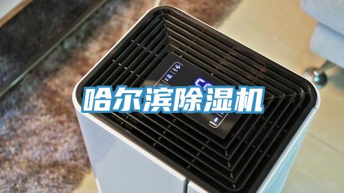 哈尔滨91免费网站在线观看