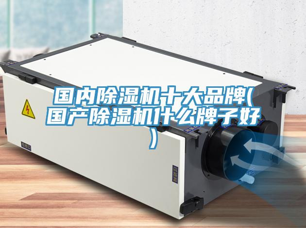 国内91免费网站在线观看十大品牌(国产91免费网站在线观看什么牌子好)