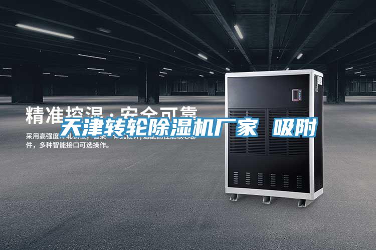 天津转轮91免费网站在线观看厂家 吸附